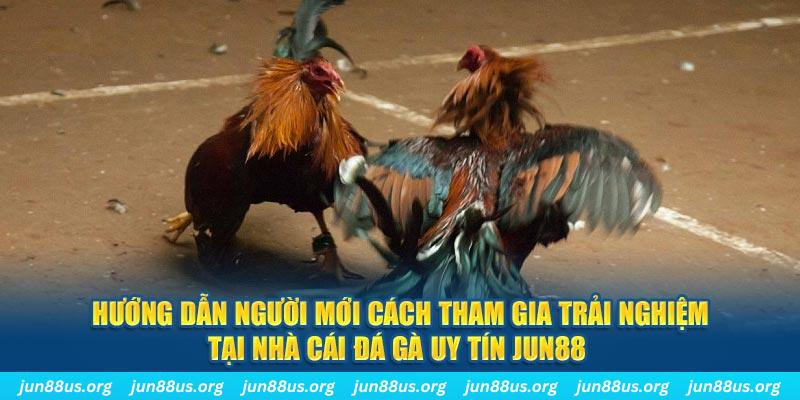 mcw 66 loi game dot kich ket noi may chu that bai