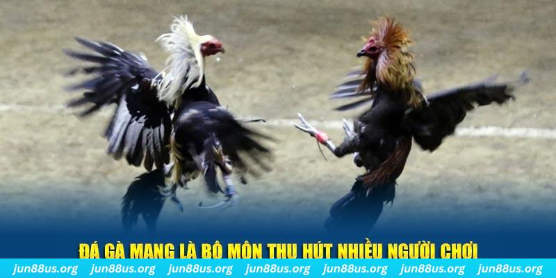 mcw 66 đăng nhập lô đề hàng đầu