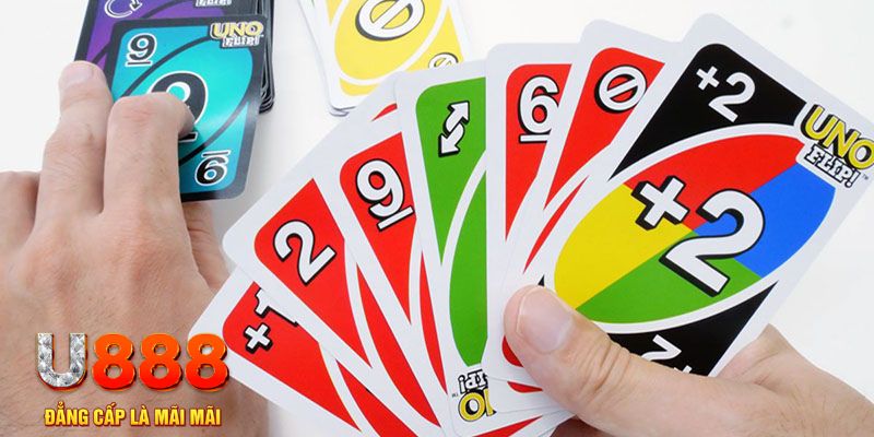 mcw 66 gà chọi cu cần