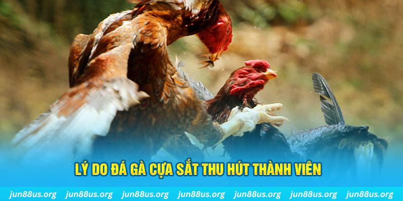 mcw 66 chiếm slot là gì