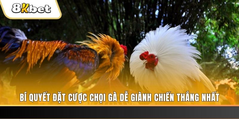 mcw 66 xổ số thứ hai hàng tuần