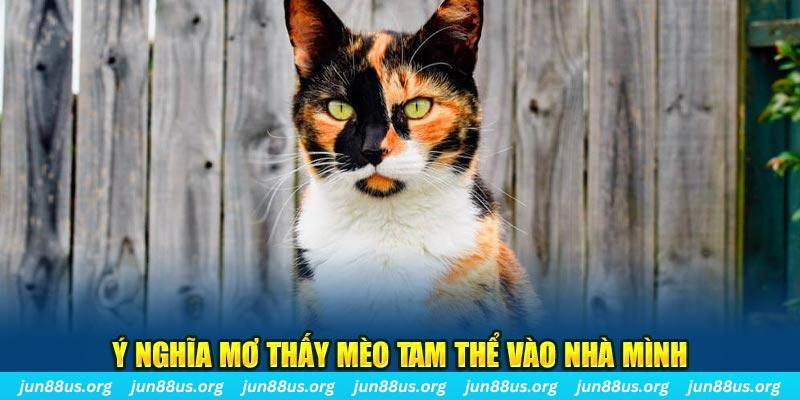 mcw 66 RTG Bắn cá