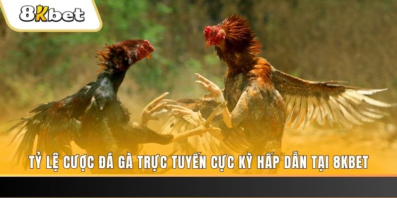 mcw 66 baccarat online bịp như thế nào