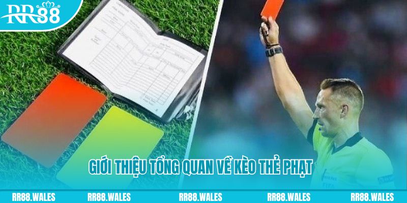 mcw 66 những ai nên chơi nổ hũ