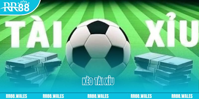 mcw 66 Giành Chủ Bull Bull